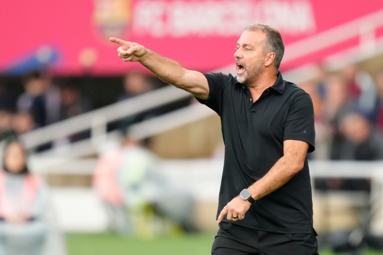 卡萨多担任 卡萨多担任